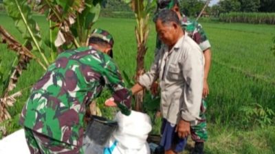 Babinsa Aktif Ingatkan Petani Pentingnya Pemupukan Tepat Sasaran Babinsa Aktif Ingatkan Petani Pentingnya Pemupukan Tepat Sasaran