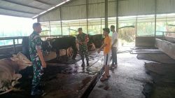 Andreas Minta Peternak Sapi Terus Pantau Kesehatan Ternaknya