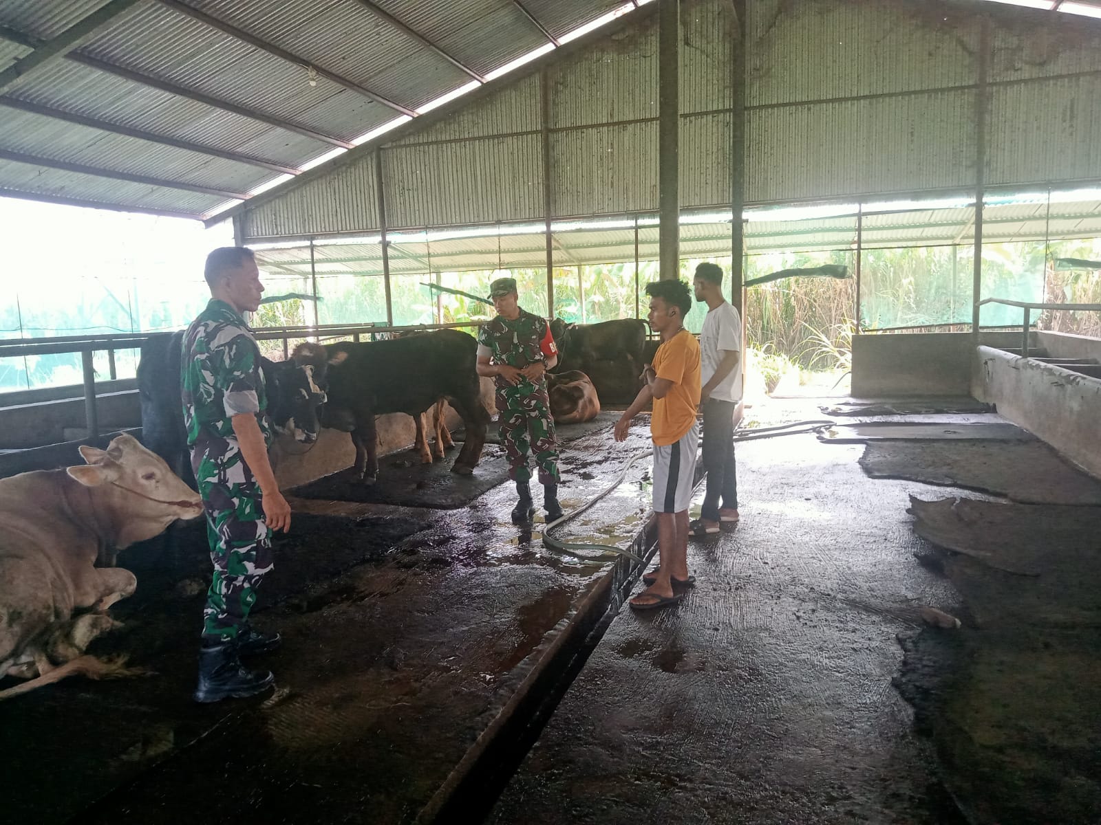 Andreas Minta Peternak Sapi Terus Pantau Kesehatan Ternaknya