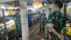 Warga Miliki Usaha Ayam Potong, Dwi Setiawan Berikan Motivasi dan Pendampingan