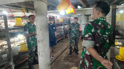 Warga Miliki Usaha Ayam Potong, Dwi Setiawan Berikan Motivasi dan Pendampingan