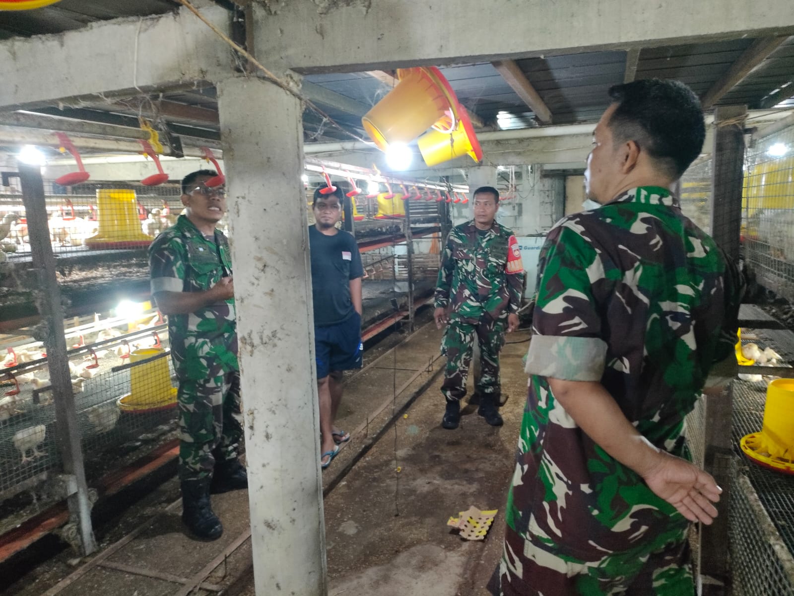 Warga Miliki Usaha Ayam Potong, Dwi Setiawan Berikan Motivasi dan Pendampingan