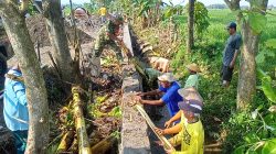 Cegah Longsor dan Banjir, Darmadi Pimpin Warga Kerja Bakti Pembersihan Talud