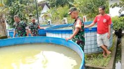 Babinsa Kunjungi Peternak Lele, Pembuangan Limbah Harus Diperhatikan!