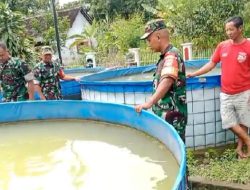 Babinsa Kunjungi Peternak Lele, Pembuangan Limbah Harus Diperhatikan!