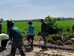 TMMD Reguler ke-128 Kodim 0725/Sragen Dorong Peningkatan Ekonomi Warga Desa Puro, Terutama Para Petani Padi