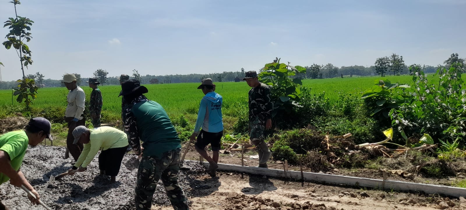 TMMD Reguler ke-128 Kodim 0725/Sragen Dorong Peningkatan Ekonomi Warga Desa Puro, Terutama Para Petani Padi
