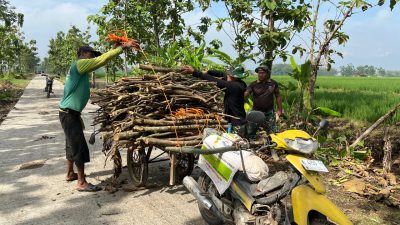 Ketulusan Anggota Satgas TMMD Membantu Warga Dengan Tulus Ikhlas