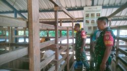 Babinsa Pantau Ternak Kambing Perah, Dukung Peningkatan Ekonomi Warga Babinsa Pantau Ternak Kambing Perah, Dukung Peningkatan Ekonomi Warga