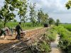 Berpacu dengan Cuaca, Satgas TMMD Kebut Pengecoran Jalan di Desa Puro
