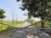 Jalan Persawahan Sudah Mulus, Kini Saatnya Warga Ikut Menjaga