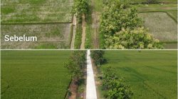 Kini Petani Desa Puro Tersenyum, Jalan Sawah Sudah Dicor Mulus