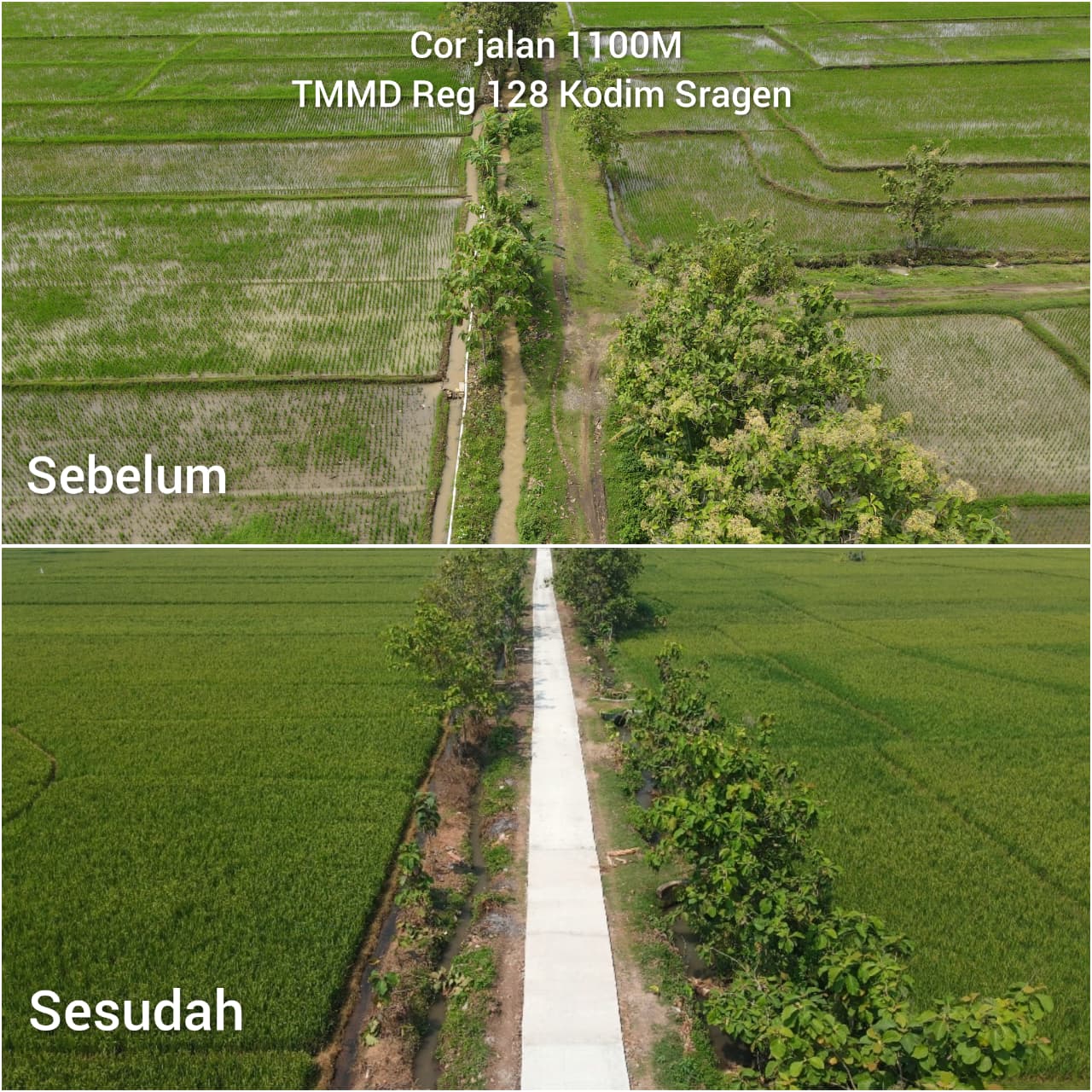 Kini Petani Desa Puro Tersenyum, Jalan Sawah Sudah Dicor Mulus