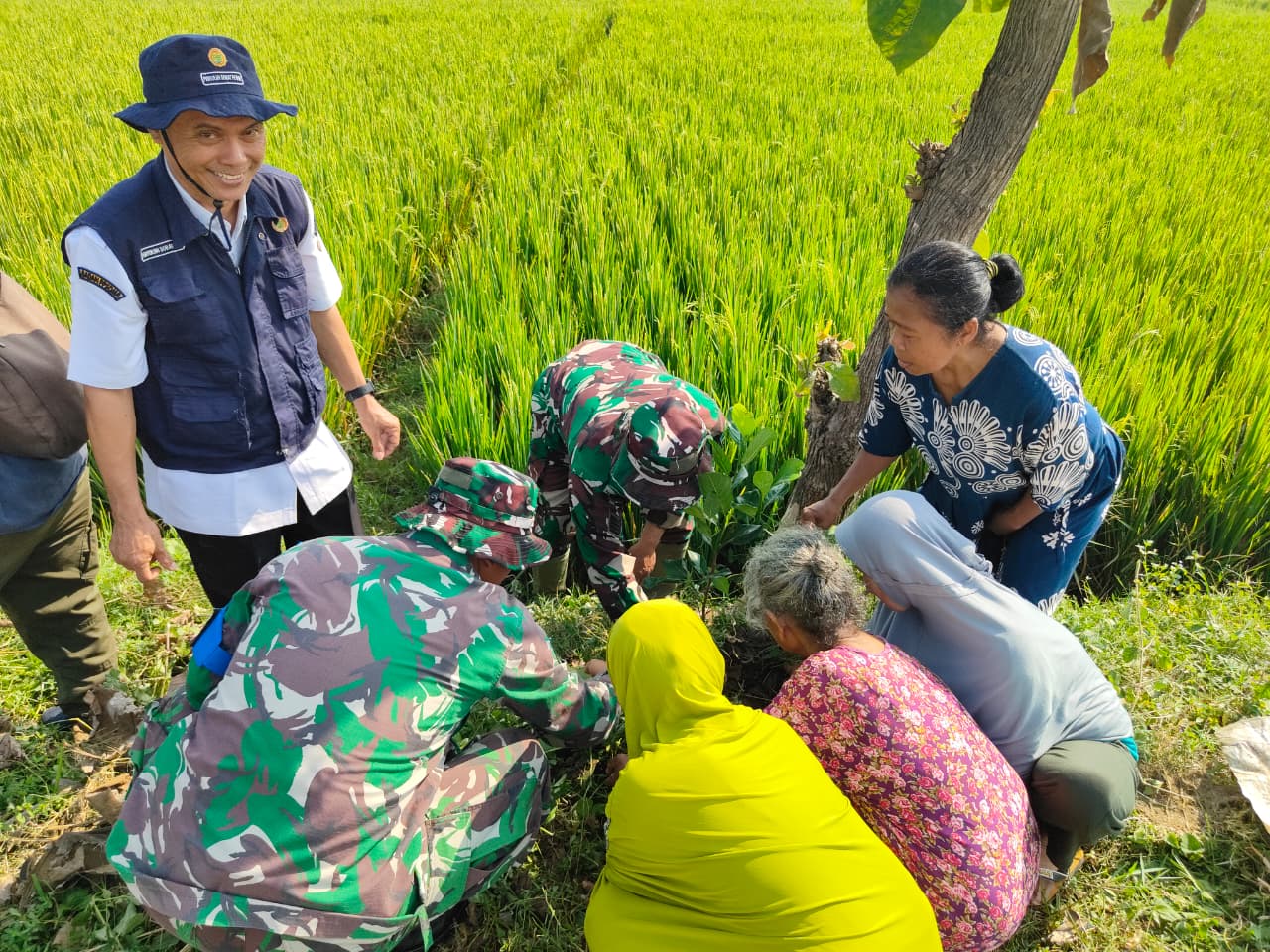 500 Pohon Buah Ditanam TMMD Kodim 0725/Sragen untuk Masa Depan Desa