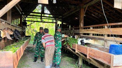 Pelda Ary Motivasi Warga Kembangkan Usaha Peternakan Kambing Lokal