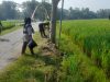 Ibu Warga Jadi Teladan, Rawat Pohon Hasil Penanaman Satgas TMMD Reg 128 Kodim 0725/Sragen