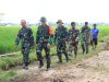 Dansatgas TMMD Reguler ke-128 Pantau Ketat Progres Pengecoran Jalan