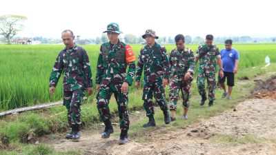 Dansatgas TMMD Reguler ke-128 Pantau Ketat Progres Pengecoran Jalan