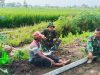 Belajar Asah Asih Asuh, Satgas TMMD Petik Inspirasi dari Kisah Sukses Bapak Suradi