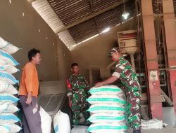 Gudang Gabah Jadi Perhatian Babinsa Demi Jaga Ketahanan Pangan