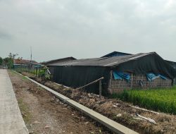 Jalan Cor TMMD Hidupkan Harapan Baru, Pak Suradi Bersiap Aktifkan Kandang Ayamnya Kembali