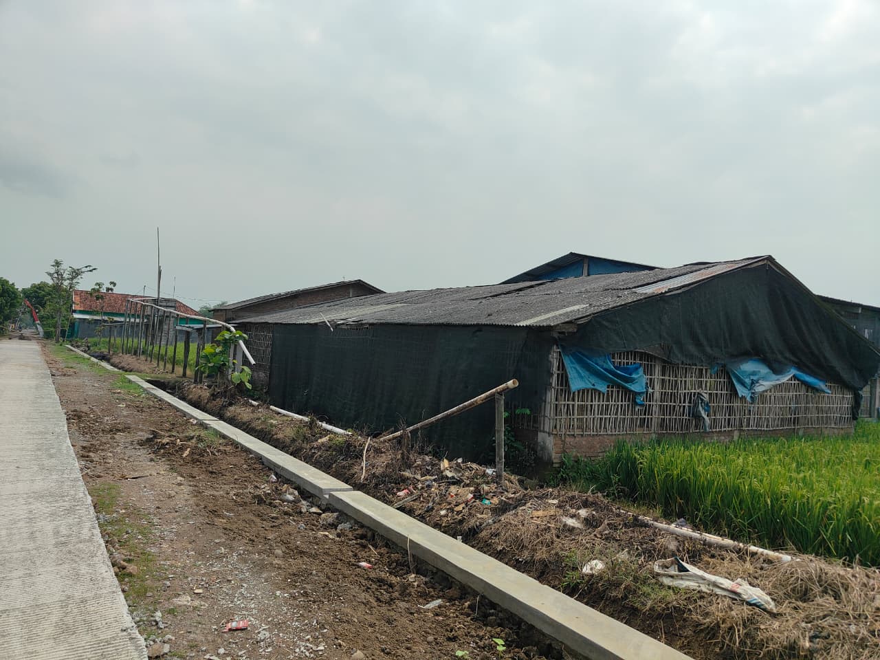 Jalan Cor TMMD Hidupkan Harapan Baru, Pak Suradi Bersiap Aktifkan Kandang Ayamnya Kembali