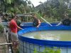 Peminat Ikan Lele Tinggi, Babinsa Turun Tangan Semangati dan Dorong Produktivitas Peternak Lokal