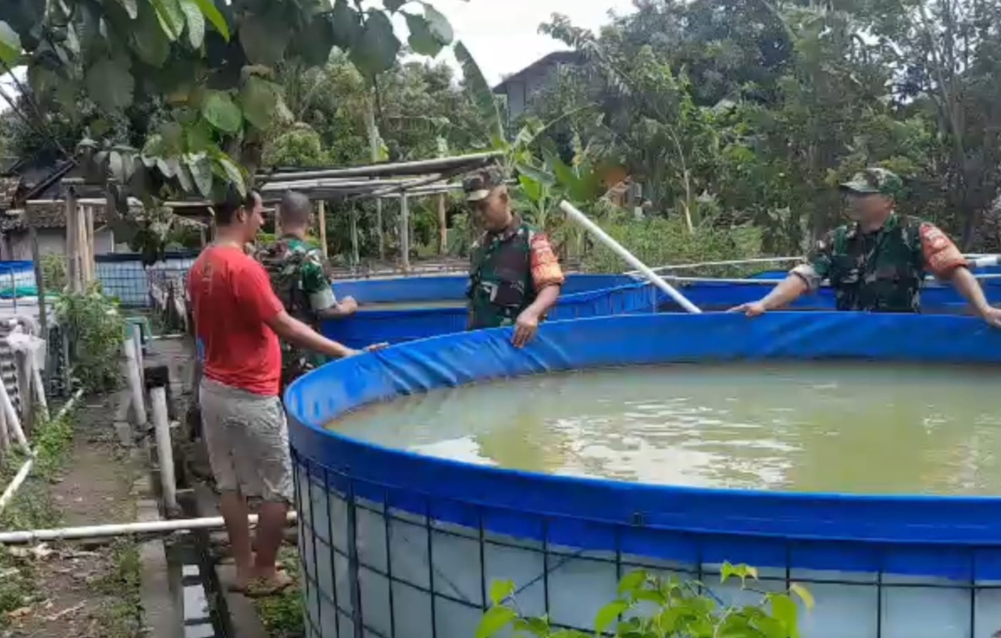 Peminat Ikan Lele Tinggi, Babinsa Turun Tangan Semangati dan Dorong Produktivitas Peternak Lokal