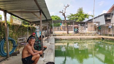 Jalan Cor TMMD Bawa Harapan Baru, Mbah Midi Ingin Buka Usaha Pemancingan