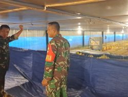 Kandang Ayam Potong Jadi Sarana Babinsa Dekatkan Diri dengan Masyarakat