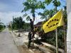 Anggota Satgas TMMD Reg 128 Kodim 0725/Sragen Bantu Petik Sayur Induk Semang