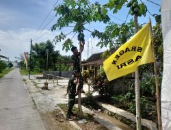 Anggota Satgas TMMD Reg 128 Kodim 0725/Sragen Bantu Petik Sayur Induk Semang