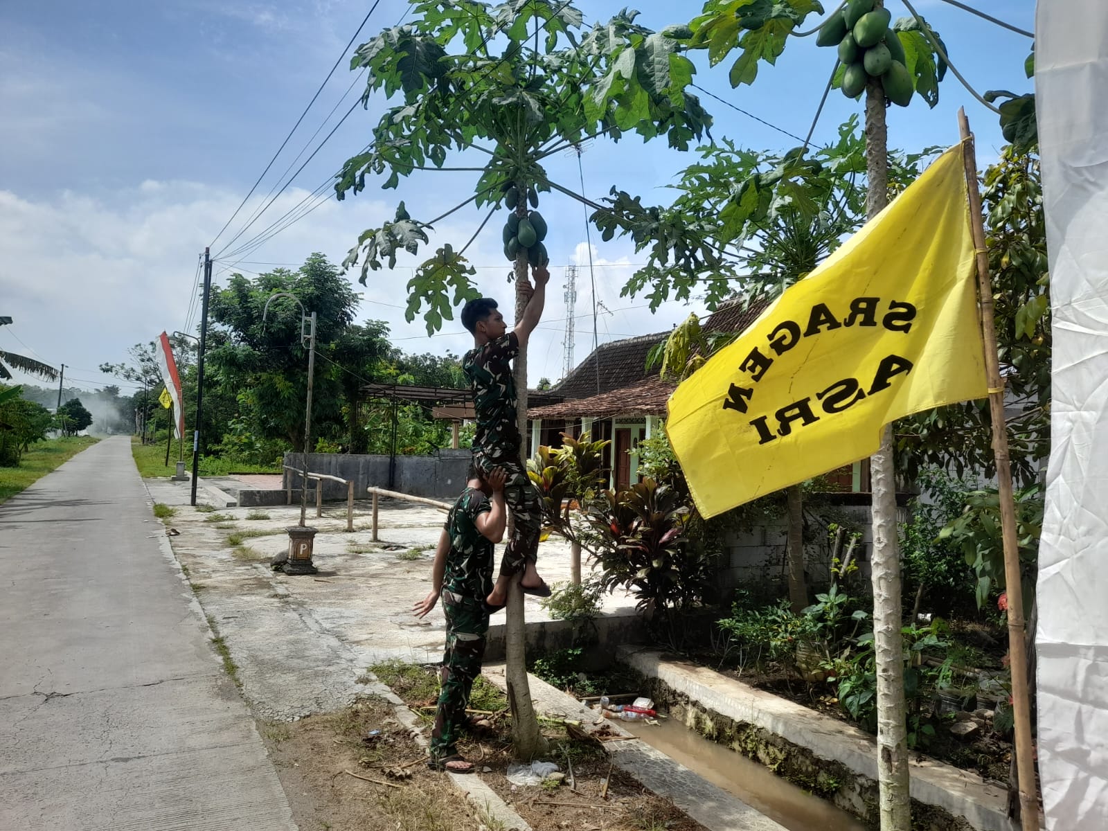 Anggota Satgas TMMD Reg 128 Kodim 0725/Sragen Bantu Petik Sayur Induk Semang