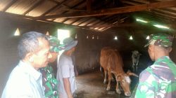 MENDEKATI IDUL ADHA, Batituud IMBAU WARGA WASPADAI PMK PADA HEWAN TERNAK