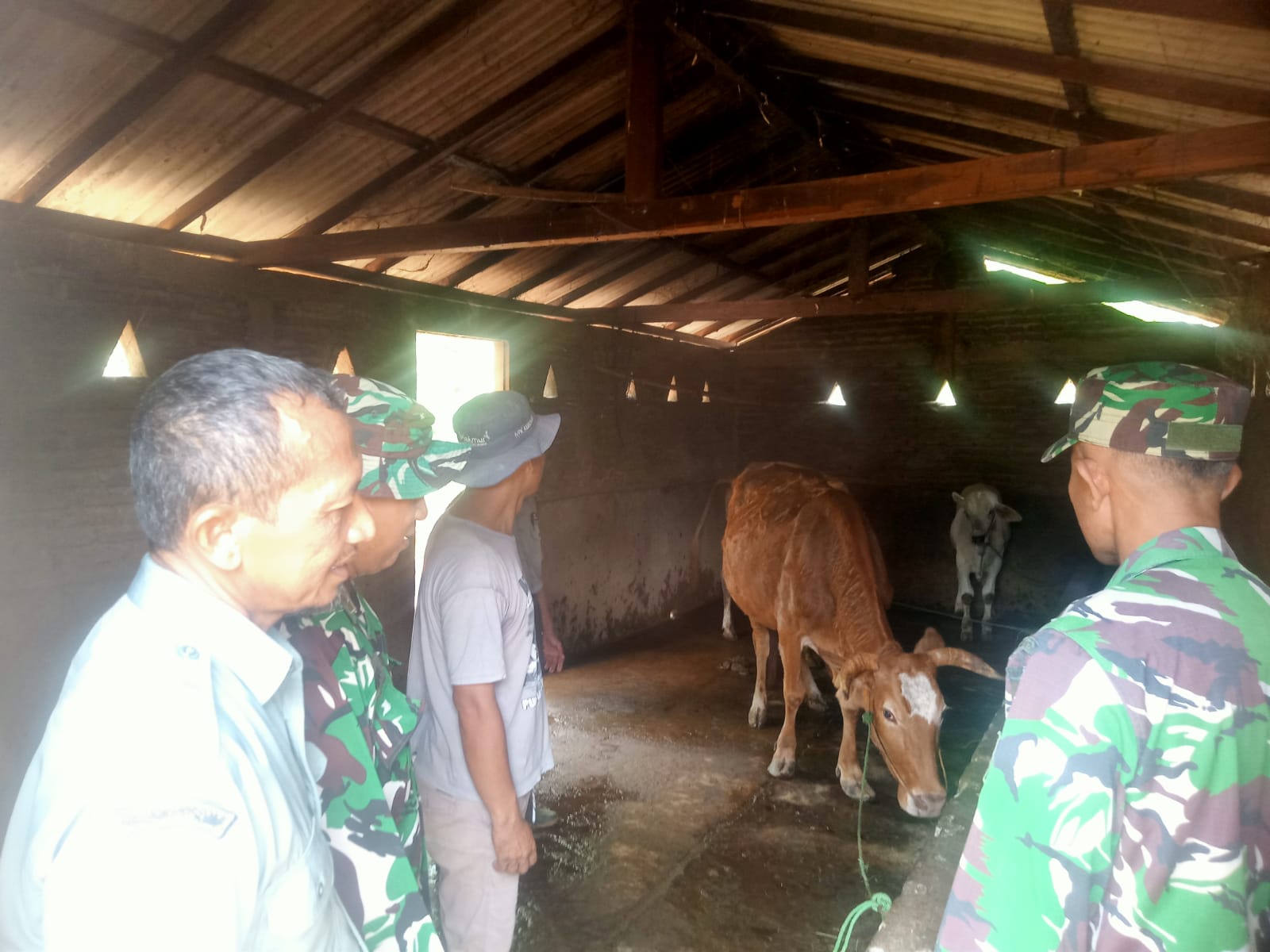 MENDEKATI IDUL ADHA, Batituud IMBAU WARGA WASPADAI PMK PADA HEWAN TERNAK