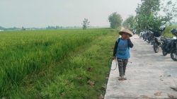 TMMD Reg ke-128 Kodim 0725/Sragen bawa berjuta berkah buat Petani