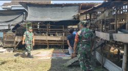 ​Potensi Menjanjikan, Babinsa Ajak Warga Seriusi Usaha Ternak Kambing