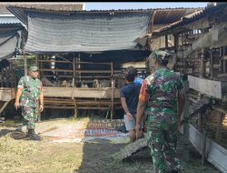 ​Potensi Menjanjikan, Babinsa Ajak Warga Seriusi Usaha Ternak Kambing