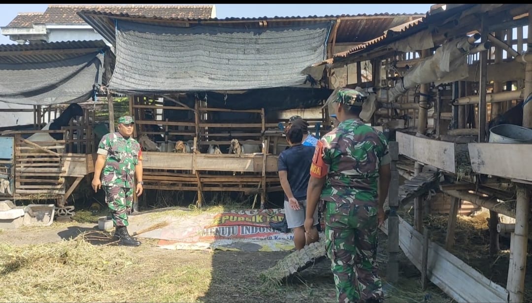 ​Potensi Menjanjikan, Babinsa Ajak Warga Seriusi Usaha Ternak Kambing