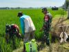 Di Tengah Sawah, Babinsa Sempatkan Komsos Bersama Petani