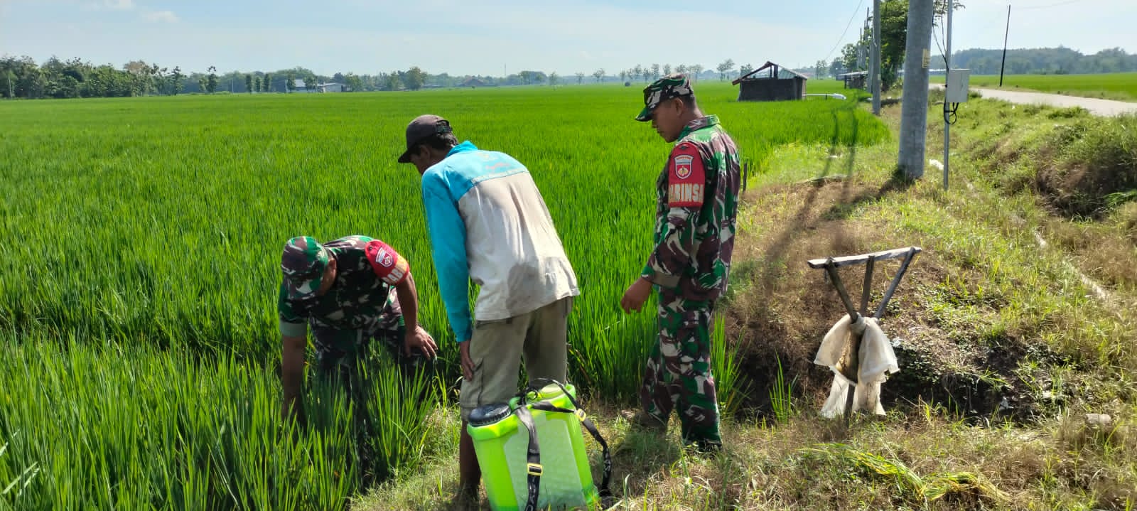 Di Tengah Sawah, Babinsa Sempatkan Komsos Bersama Petani