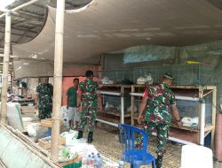 Ternak Kelinci Jadi Perhatian Babinsa, Dorong Peluang Usaha Masyarakat