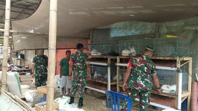 Ternak Kelinci Jadi Perhatian Babinsa, Dorong Peluang Usaha Masyarakat