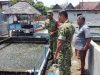 Kawal Ketahanan Pangan Perikanan, Serka Sunardi Sambangi Kolam Ikan Pak Suparjan