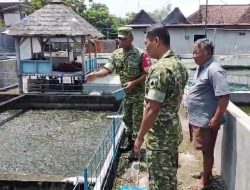Kawal Ketahanan Pangan Perikanan, Serka Sunardi Sambangi Kolam Ikan Pak Suparjan