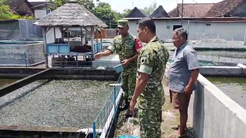 Kawal Ketahanan Pangan Perikanan, Serka Sunardi Sambangi Kolam Ikan Pak Suparjan