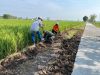 Anggota Satgas TMMD Bersama Warga Tetap Bekerja Keras Untuk Memberem Samping Kanan kiri Jalan Cor