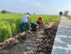 Anggota Satgas TMMD Bersama Warga Tetap Bekerja Keras Untuk Memberem Samping Kanan kiri Jalan Cor