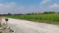 Syukur Mbah Suradi, Jalan Mulus TMMD Kini Permudah Angkut Hasil Panen