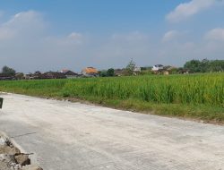 Syukur Mbah Suradi, Jalan Mulus TMMD Kini Permudah Angkut Hasil Panen